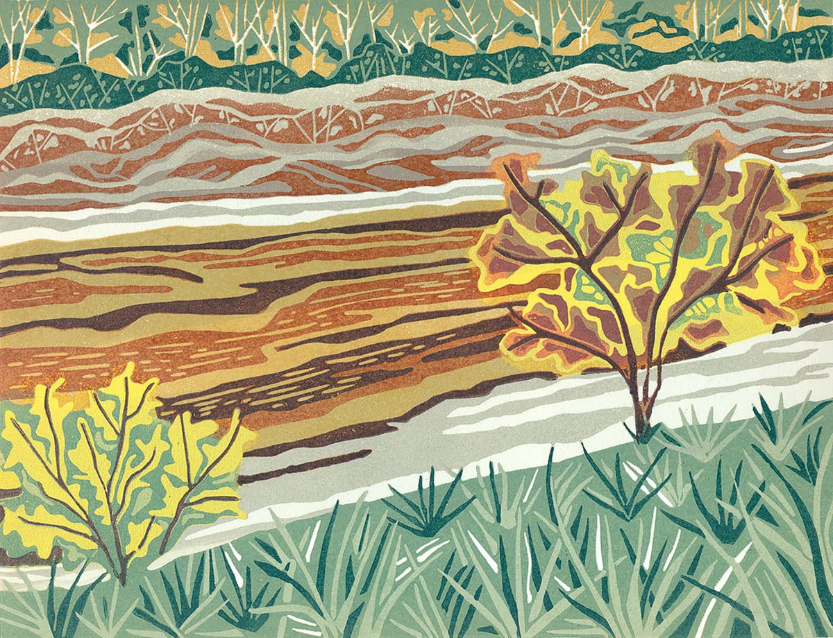 Landscape Linocut By Kate Goetz, 13 X 11", Alligator River, Original Artwork