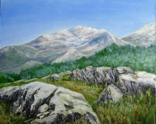 Realistic landscape painting 'Mountains in Croatia' by Anna  Voloshyn