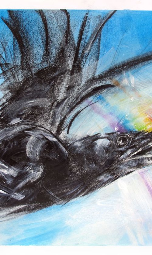 Raven, Rainbow by John Sharp