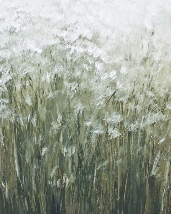 White Flowers in a Field