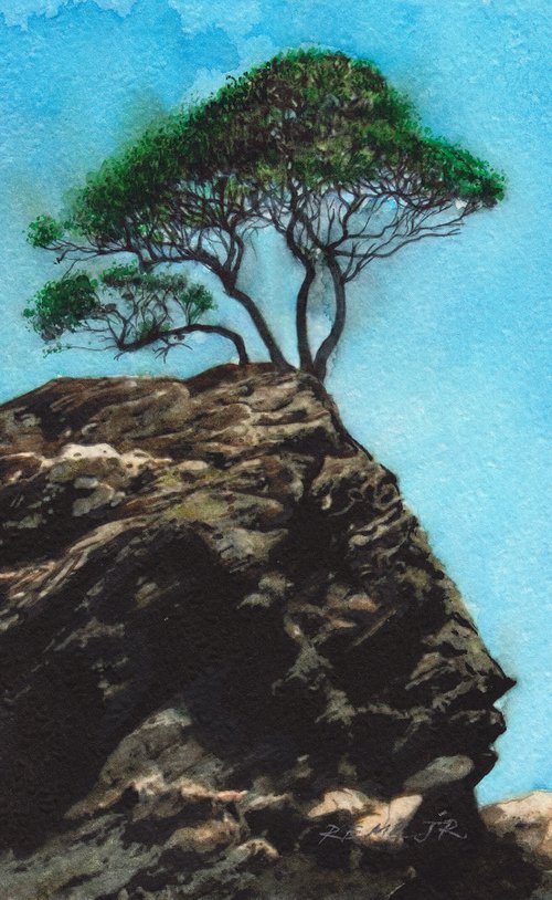 Tree on Greek Rock Island by REME Jr.