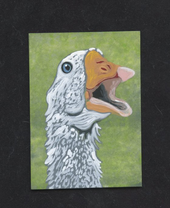 ACEO ATC Original Miniature Painting White Goose Farmyard Pet Bird Art-Carla Smale