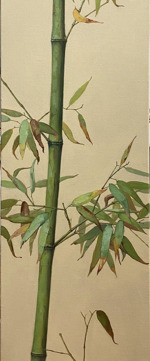 Zen art:Bamboo by Kunlong Wang