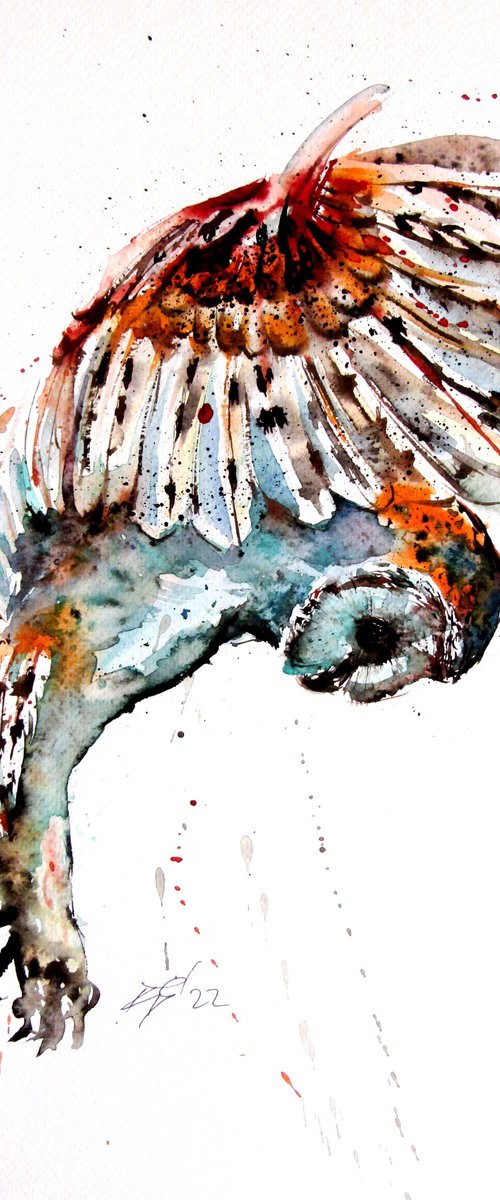 Flying barn owl by Kovács Anna Brigitta