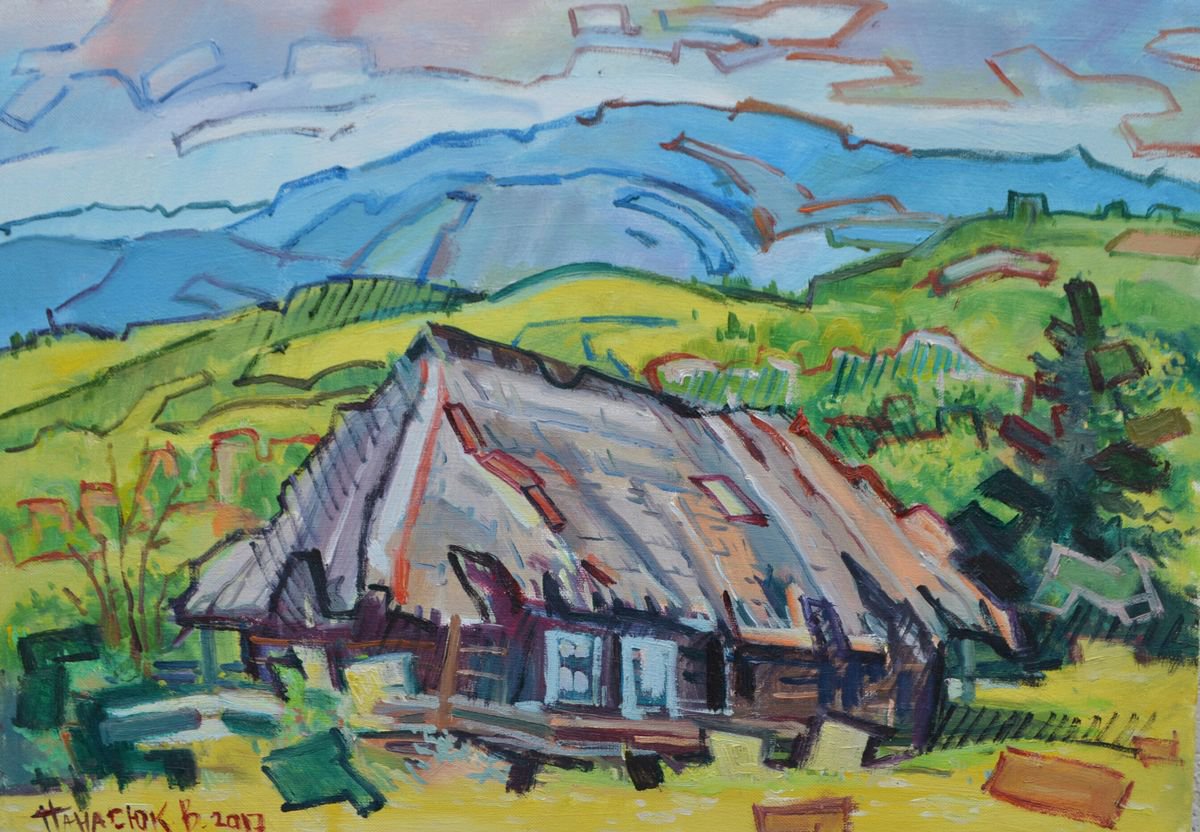 house in the maiountns by Vitalii Panasiuk