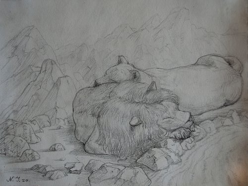 Lions` rest by Nikola Ivanovic