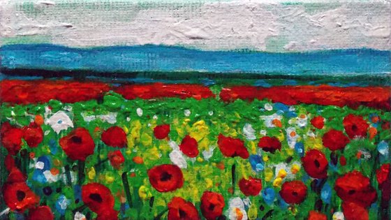 Poppy Field #6