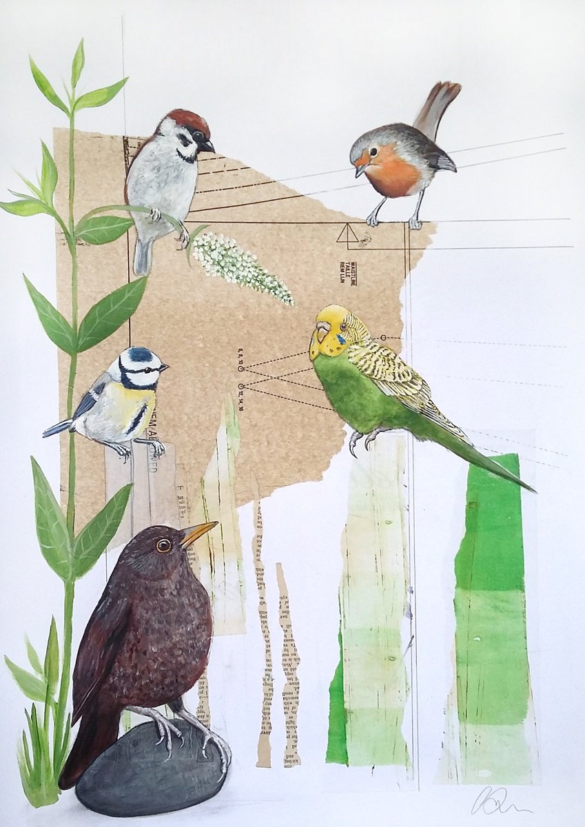 Naive Painting , The Visitor (Budgie