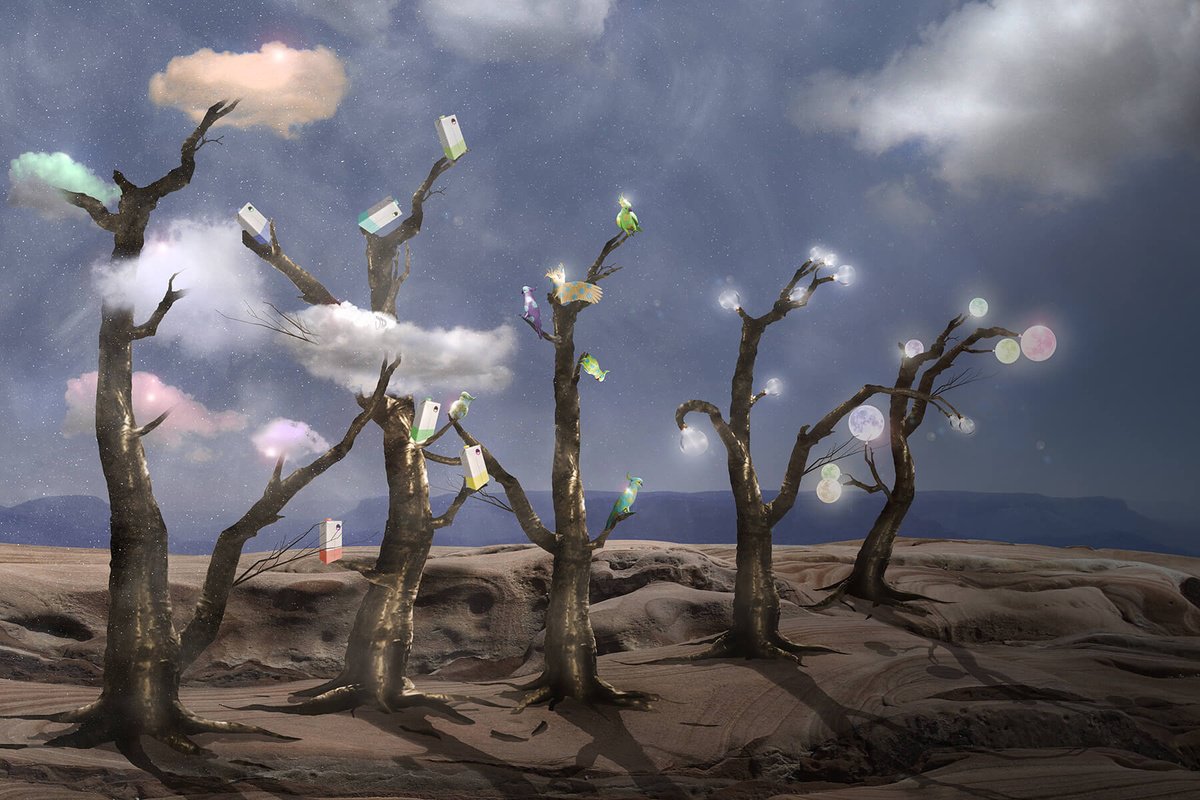 Surrealistic Landscape Print By Vanessa T Stefanova, 24 X 16", Tree Lineup, Original Artwork