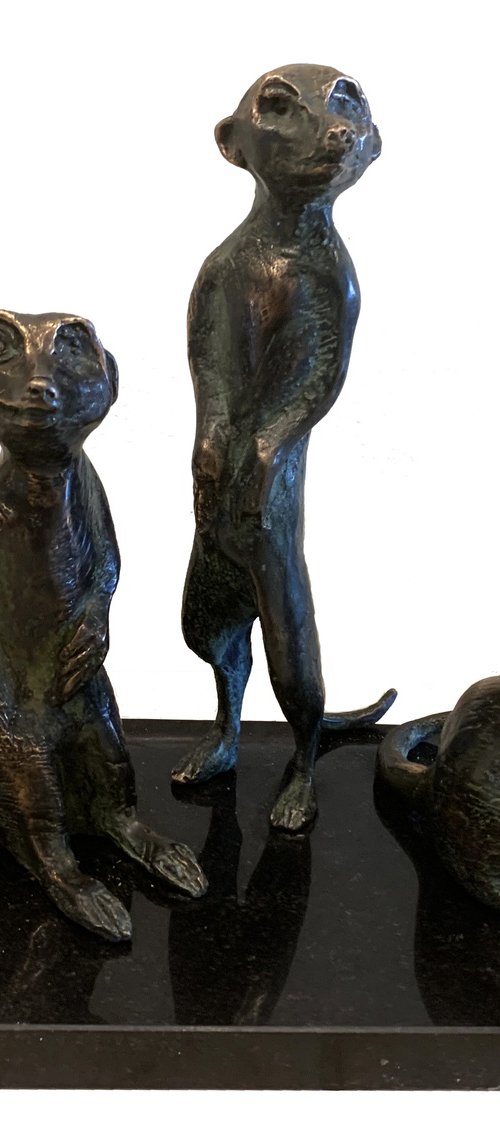 Meerkats - Horizon watchers by Toth Kristof