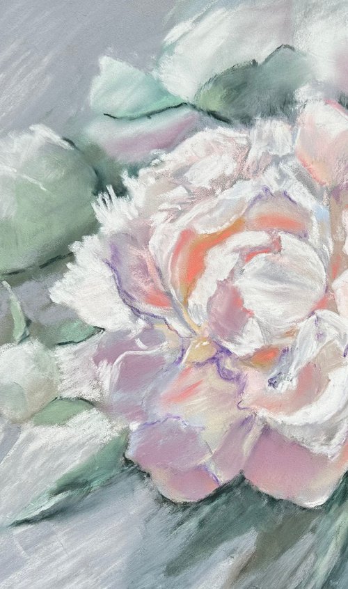 Floral: White Peony by Alla Semenova