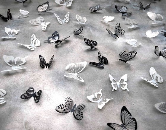 Wall Sculpture Butterfly Park 11