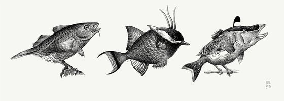 Birdfish species