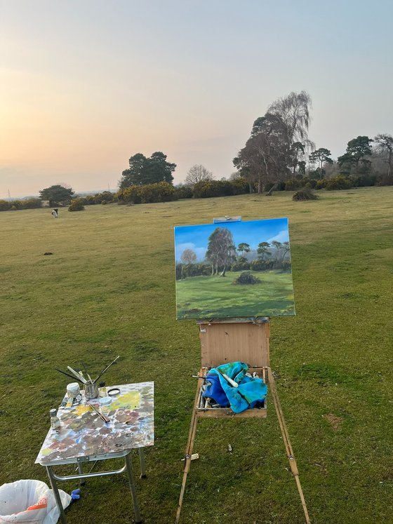 Canada Common New Forest