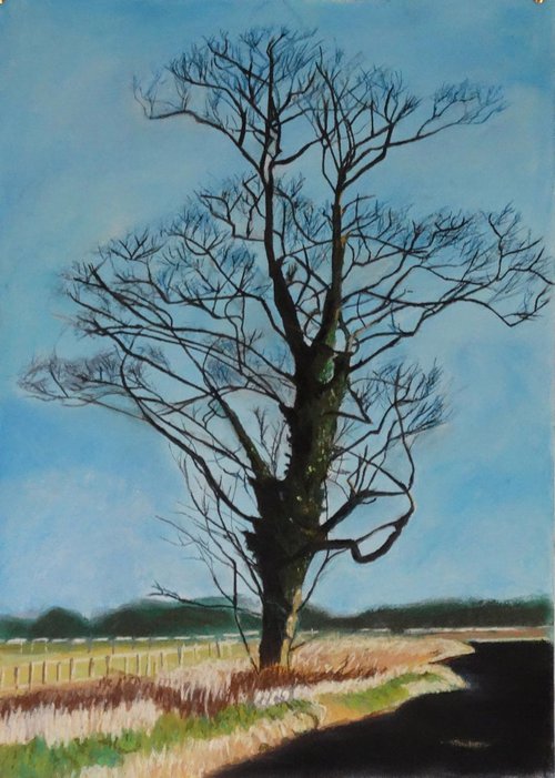Lone Tree by Stan Pougher