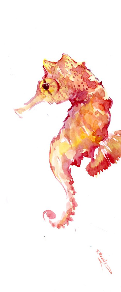 seahorse by Suren Nersisyan