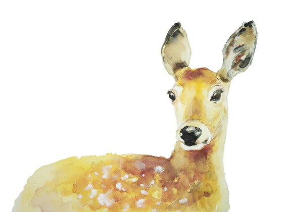 Deer fawn painting, watercolor illustration