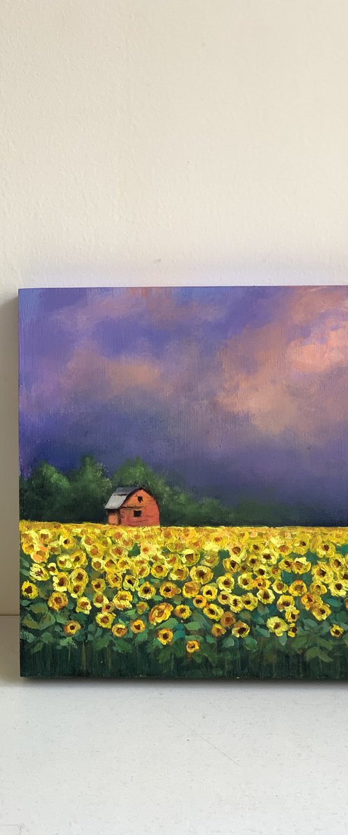 Sunflower and Red Barn by Amita Dand