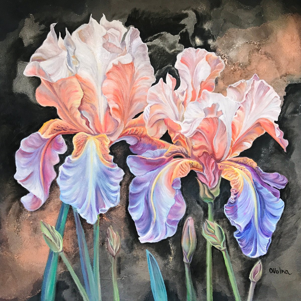 Impressionistic Botanical Oil Painting By Olga Volna, 31 X 31", Flaming Irises, Original Artwork