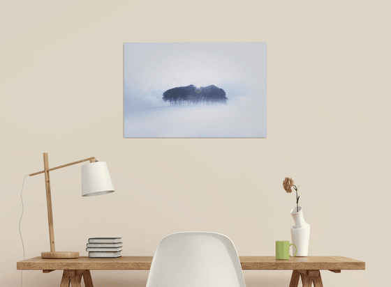 Coming home trees in the mist