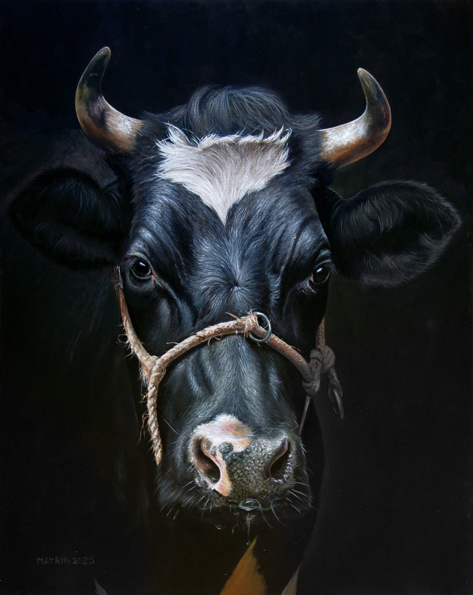 Photorealistic Oil Painting , Strong Black Beauty By Mayrig Simonjan, 21 X 29, Artwork For Sale On Artfinder