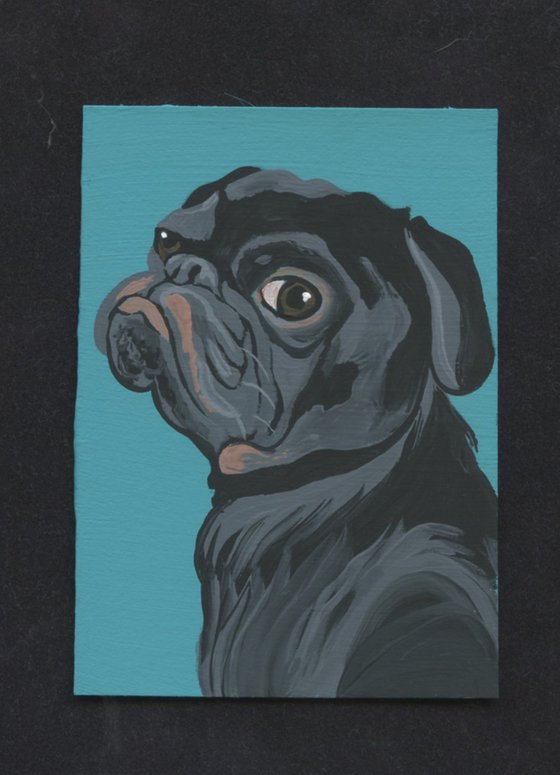 ACEO ATC Original Miniature Painting Black Pug Pet Dog Art-Carla Smale