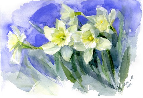 Watercolor daffodil painting by Marta Nyrkova