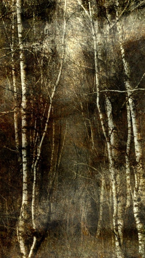 Automne.... by Philippe berthier