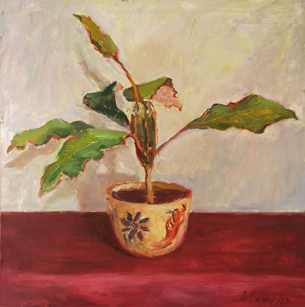 Impressionistic Botanical Oil Painting By Olga Samar, 16 X 16", A Special Plant, Original Artwork