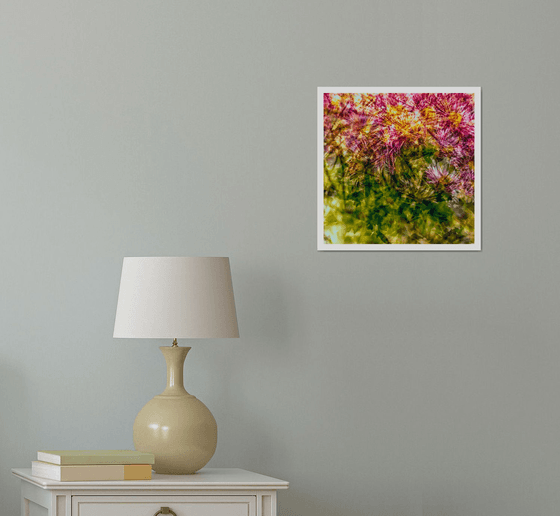 Abstract Flowers #7. Limited Edition 1/25 12x12 inch Photographic Print.