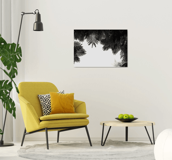 The Tree Top II | Limited Edition Fine Art Print 1 of 10 | 90 x 60 cm