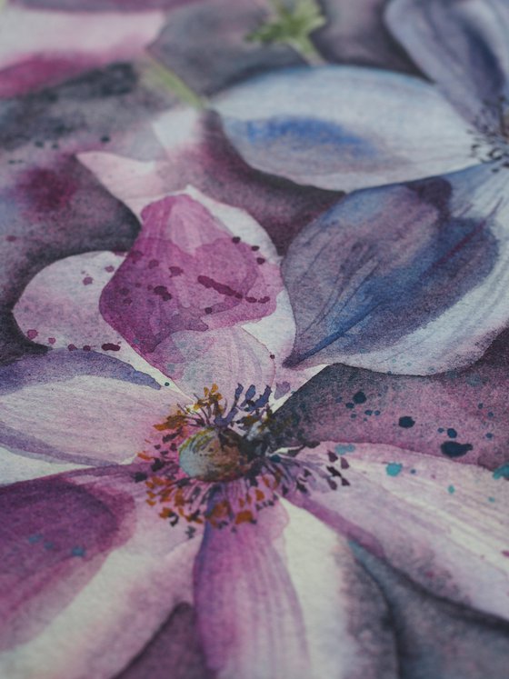 Anemones - purple flower, original watercolor