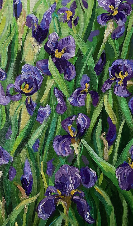 Iris Garden