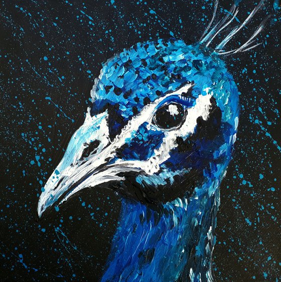 "Peacock"