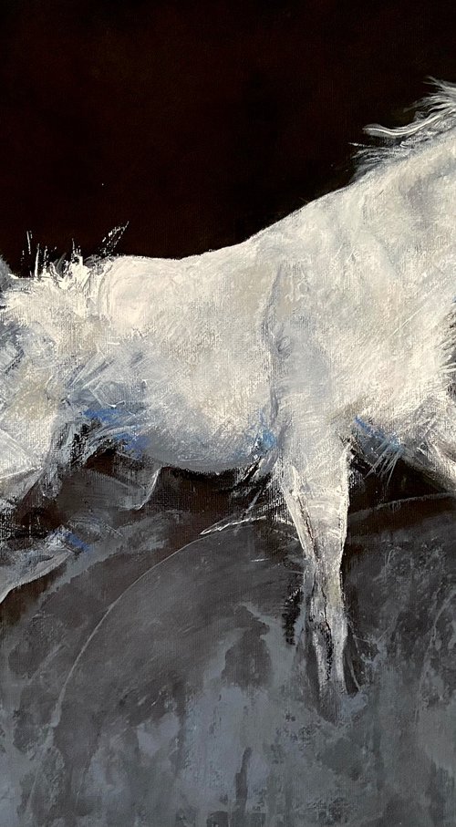 White horse on panel, original acrylic painting by Paul Hardern