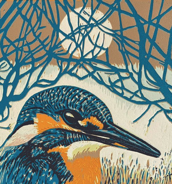 Kingfisher II