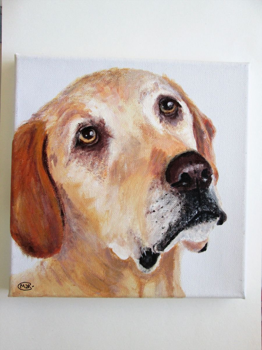 Photorealistic Animal Acrylic Painting By Marjansart, 8 X 8", Puppy Dog, Original Artwork