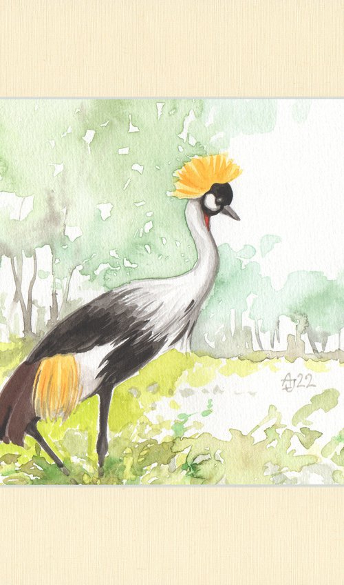 Wild nature - Crane 2 by Jolanta Czarnecka