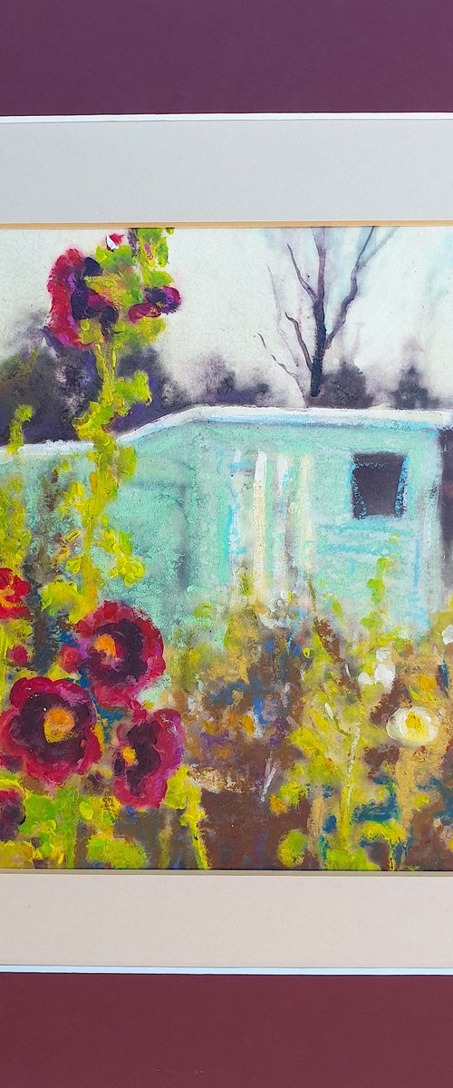 Dad's Allotment Shed & Hollyhocks by Teresa Tanner