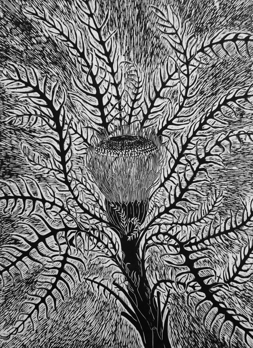Banksia by Tricia Newell