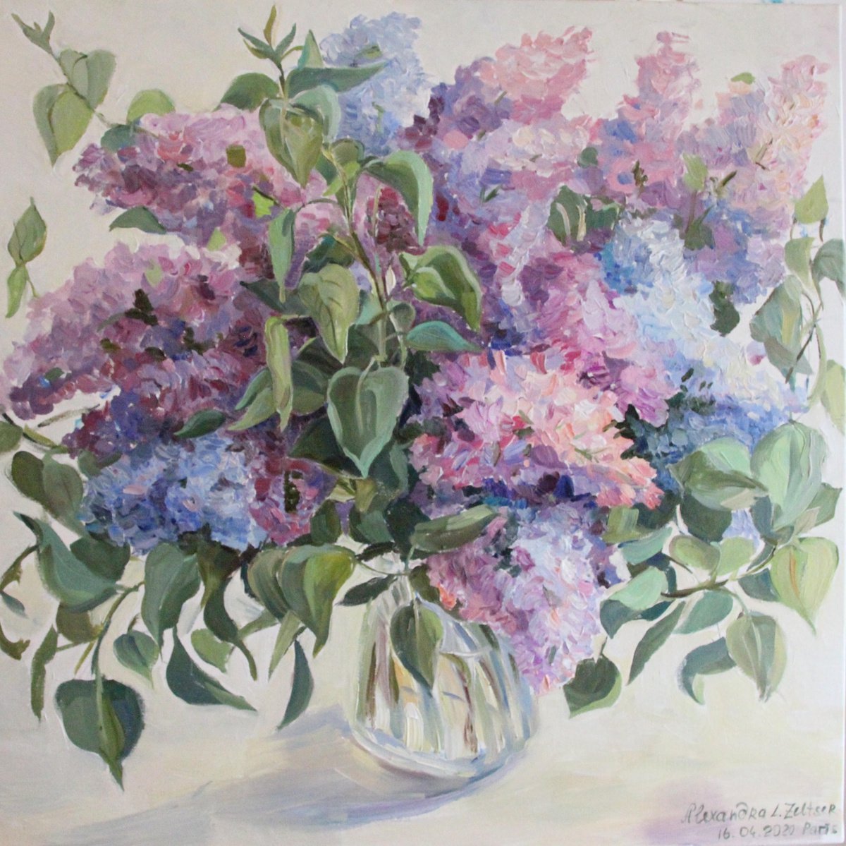 lilacs flowers spring