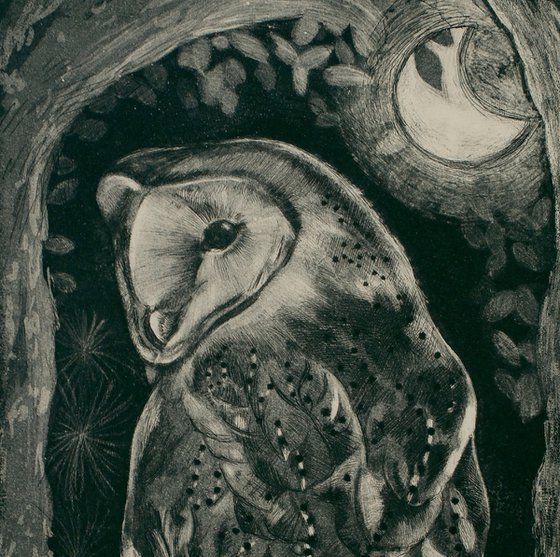 Barn Owl Etching