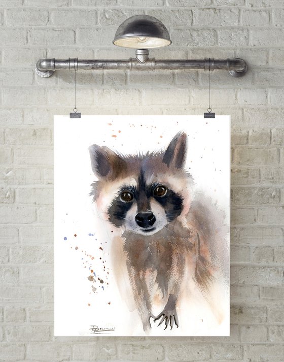 Raccoon