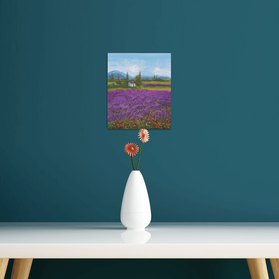 Lavender field