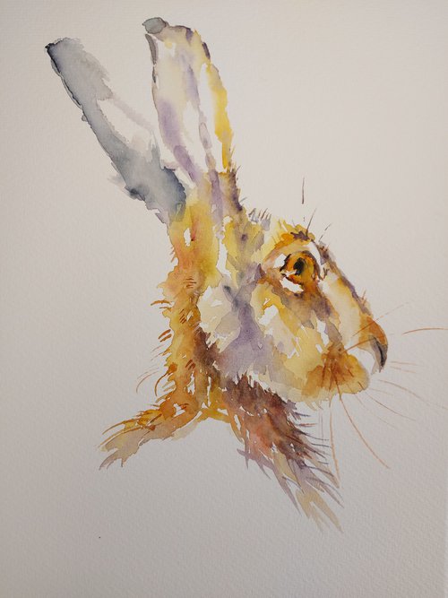 March Hare by Sue  Green