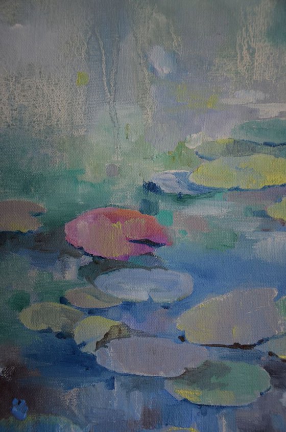 Lily pond. Falling asleep