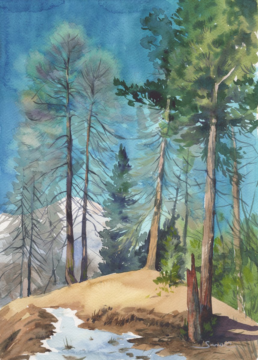 Forest Snow Art Original Watercolor, Winter Landscape painting by Samira Yanushkova
