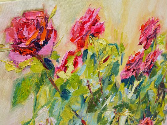 A bush of roses in a garden