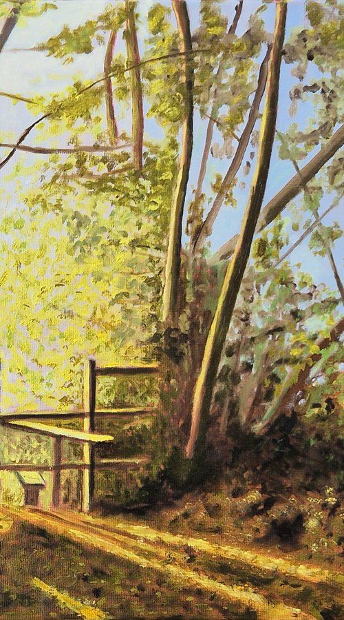 Evening Light on a Sussex Footpath by Chris Marshall