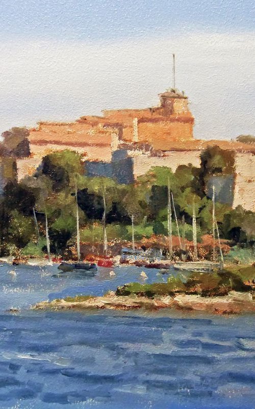 Ile Ste Marguerite by Pascal Giroud